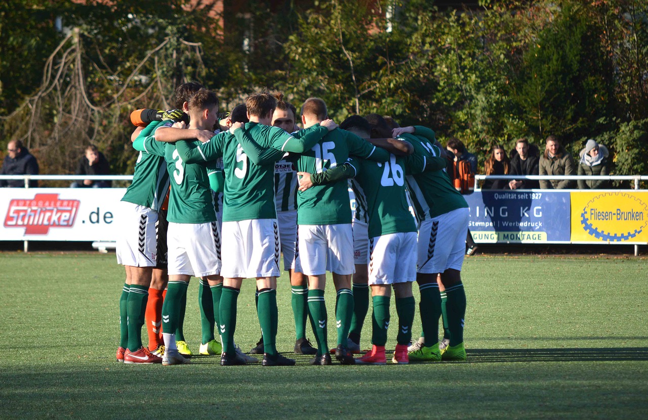 wowwee玩具如何详情下载教程app